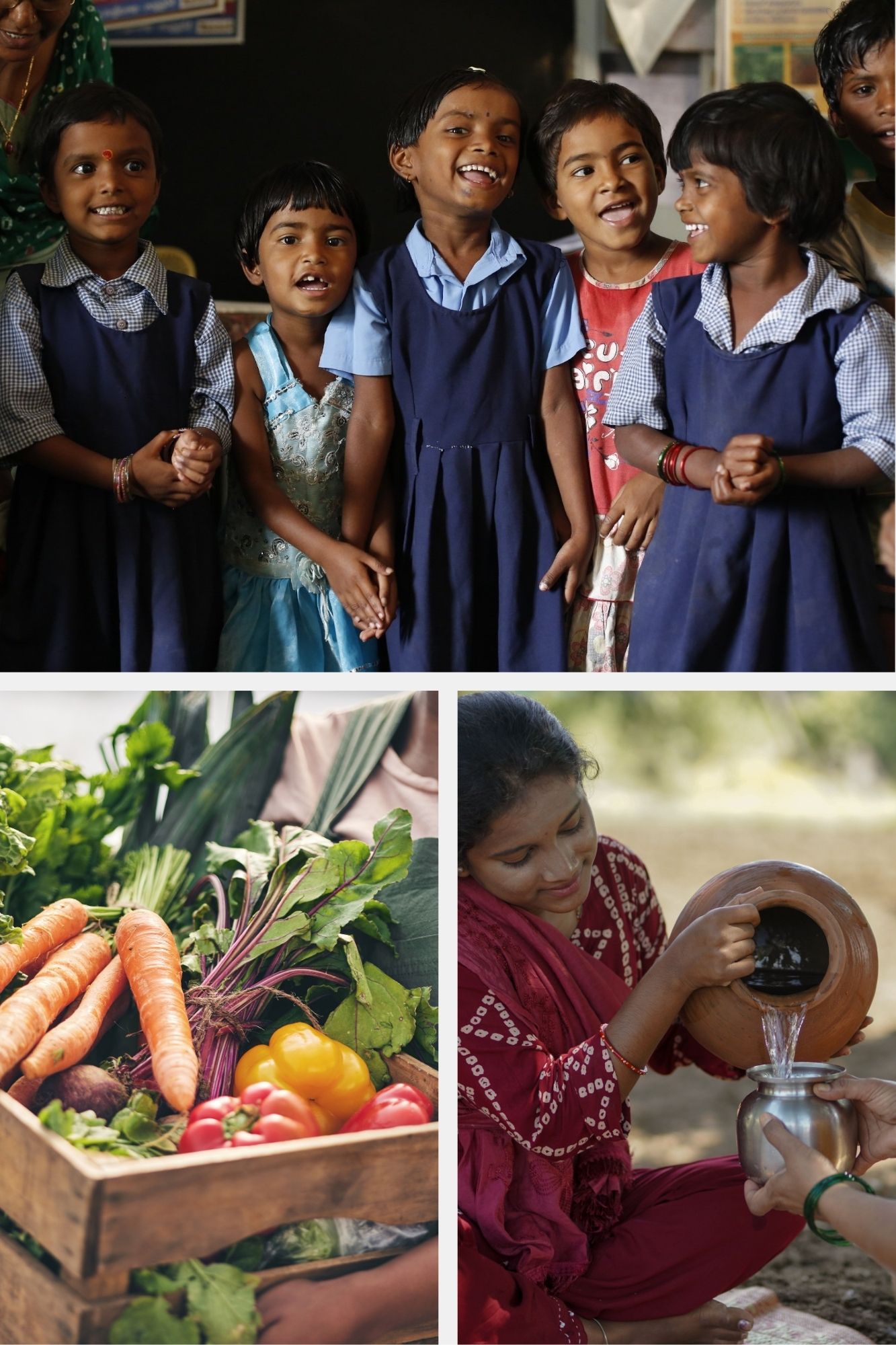 DG Rural Development Society