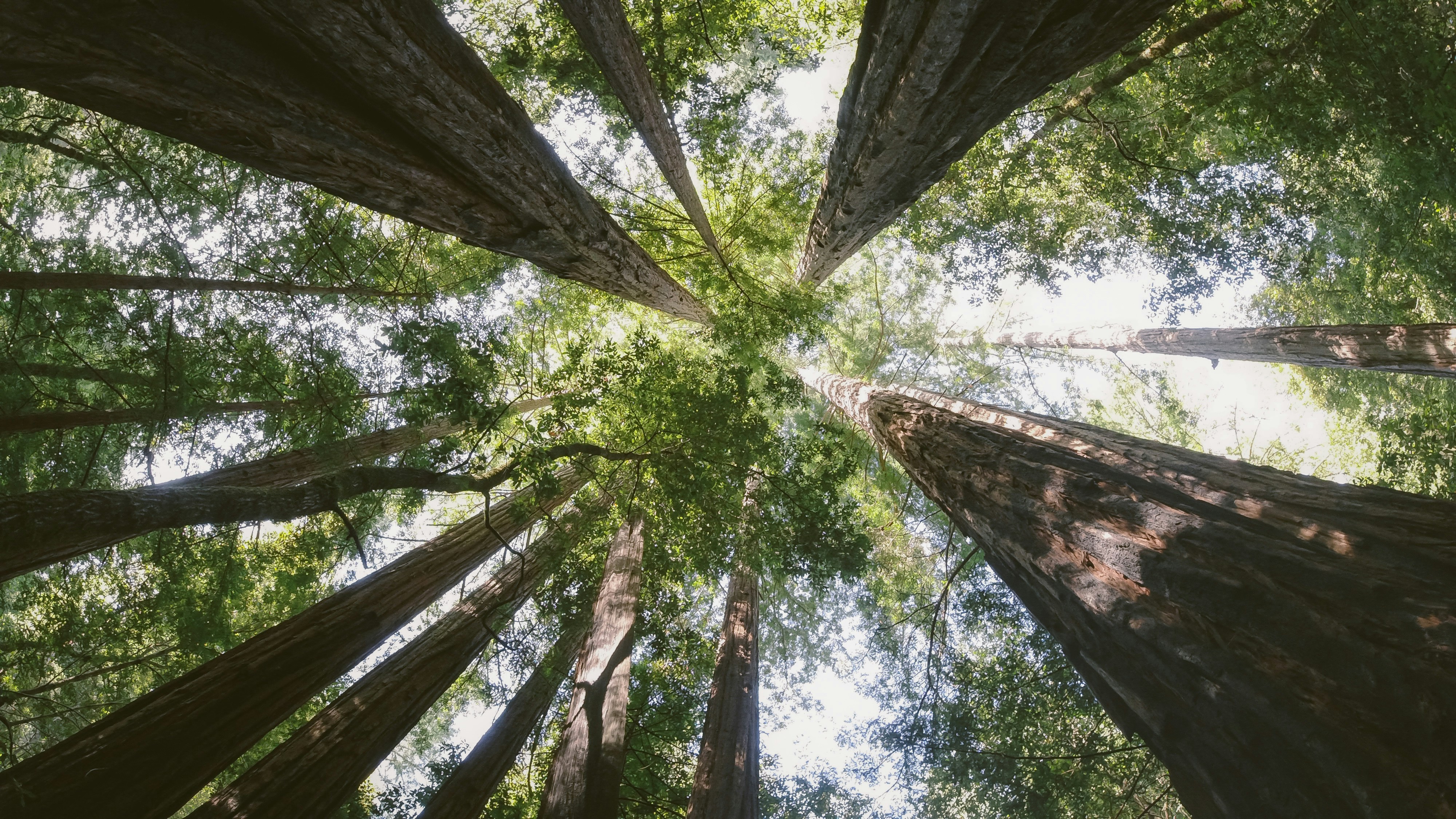 Climate-Resilient Ecosystem Restoration
